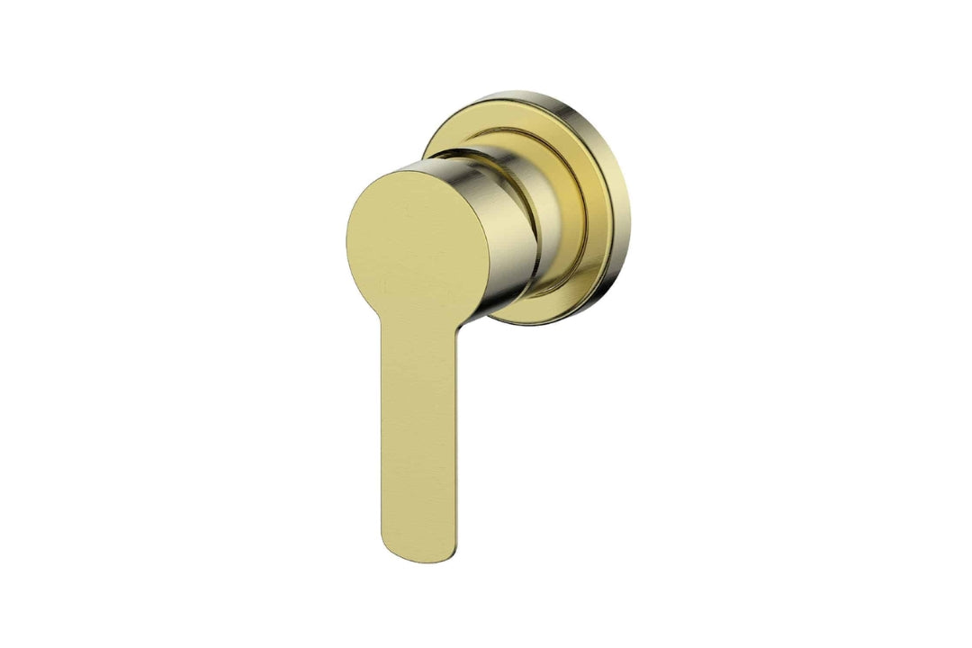Astro II Mini Shower Mixer Trim Kit in Brushed Brass – brushed brass compact shower mixer for minimalist architectural bathrooms