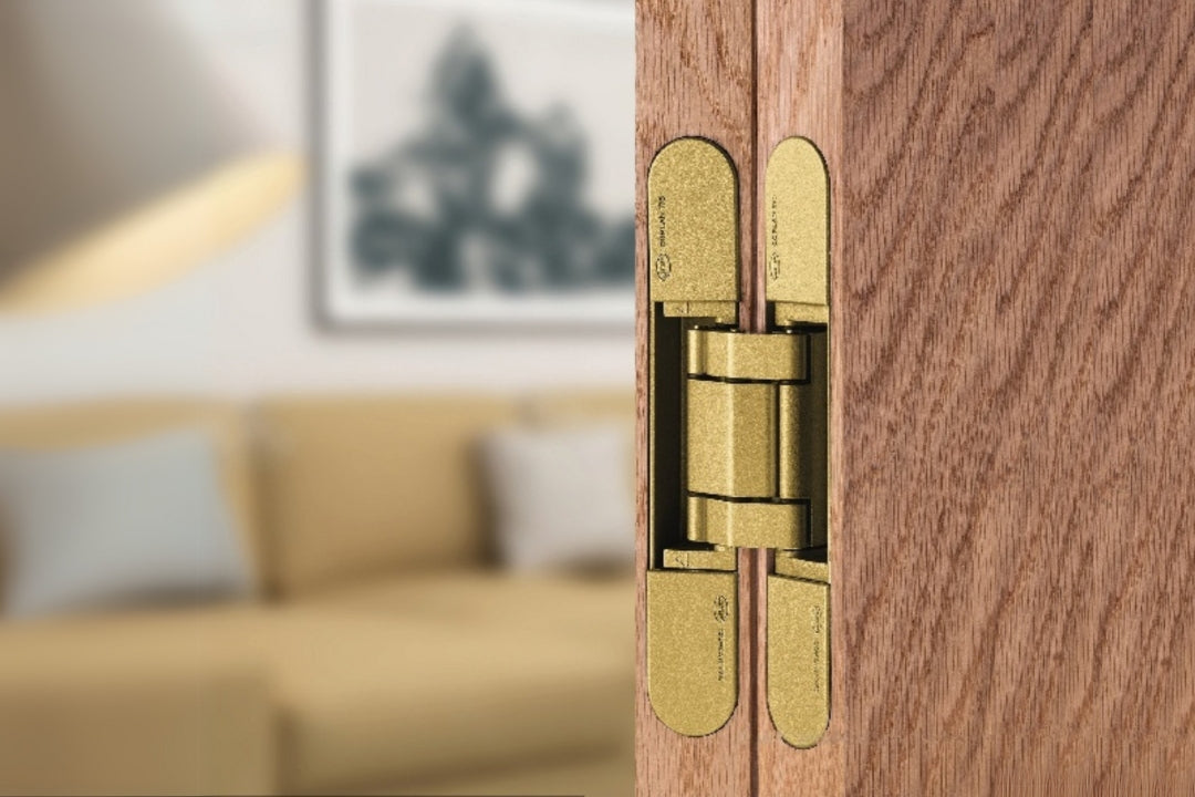 Insitu image of the IN.05.061.SG Coplan Hinge installed on a wooden door with a blurred background.