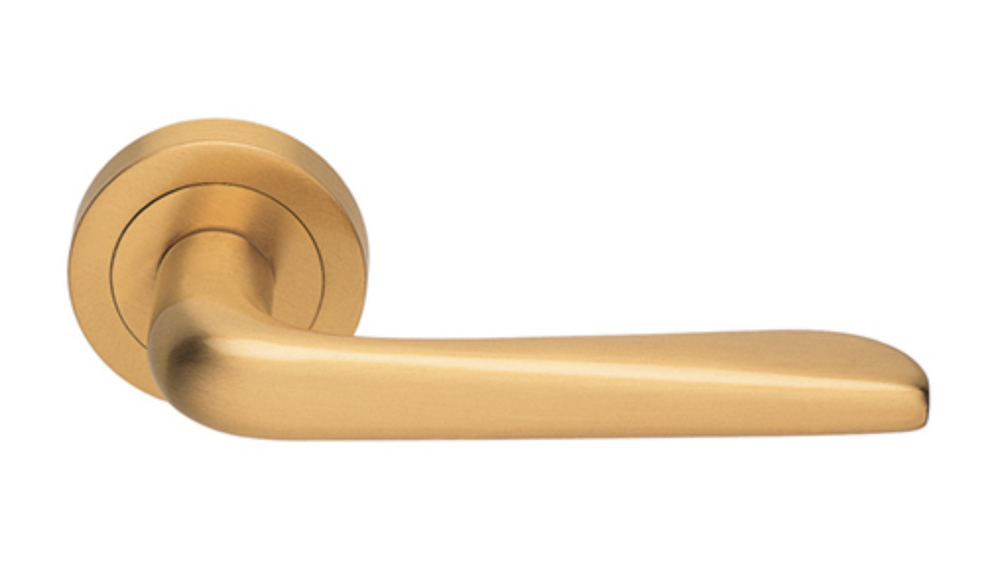 Product picture of the Petra Polished Brass Door Handle on a white background.