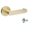Product picture of the Zanda Duke Return Door Lever Handle on Round Rose Satin Brass dummy handle on a white background.