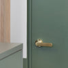 The Duke Satin Brass Door handle installed on a green door with a green cupboard in the foreground.