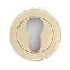 Product image of the Apollo Design Round Euro Escutcheon 50mm Polished Brass on a white background.
