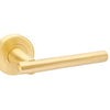 Product image of the Avante Satin Brass Door Handle on a white background.