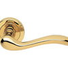 Product image of the Polished Brass Manital Erica Door Handle Lever Set on Round Rose 50mm on a white background.