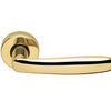 Image of the Polished Brass Manital Imola Door Handle Lever on Round Rose.