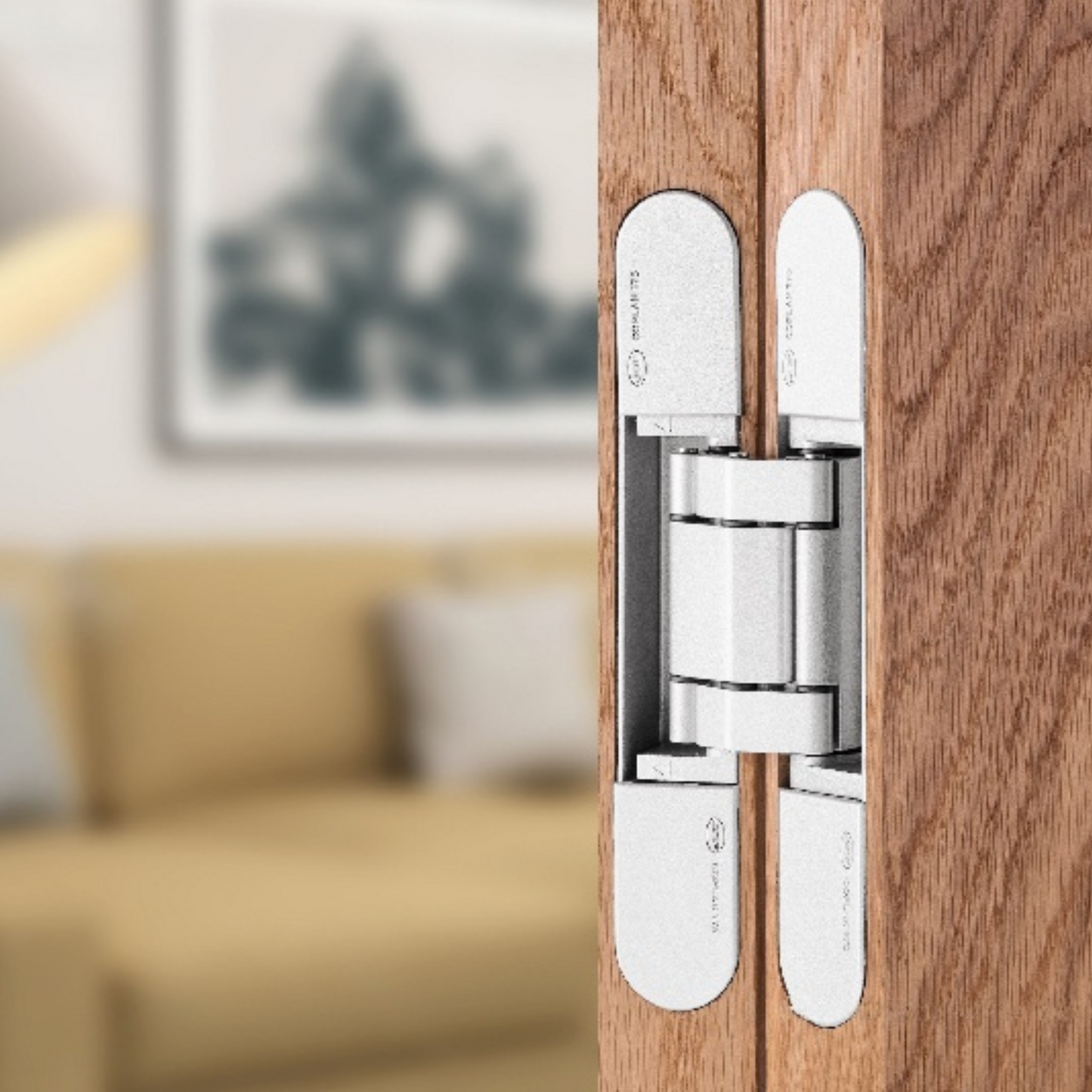 Insitu picture of the white coplan hinge installed on a wooden door with a blurred background.