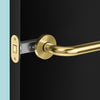 Insitu image of the IN.20.153.TG tube latch on a black door with a generic satin brass door lever installed.