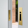 The Red Dot Design Award Winning Pendulum Sliding Door Privacy Kit in Satin Brass installed on an off white door.