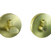 Image of the Satin Brass Nidus Round Eurobolt Single Cylinder.