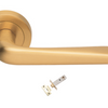 Product picture of the Petra Satin Brass Door Handle with separate tubular latch on a white background.